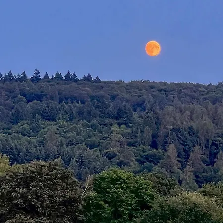 Goodtimes * Hausen Uber Aar