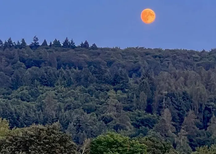 Goodtimes * Hausen Uber Aar